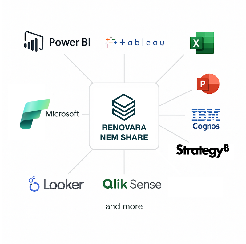nemweb-bi-connectivity